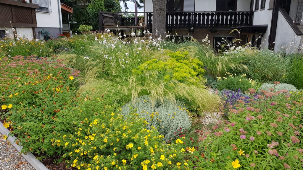 „Rettet den Vorgarten“ | Journal Lokal