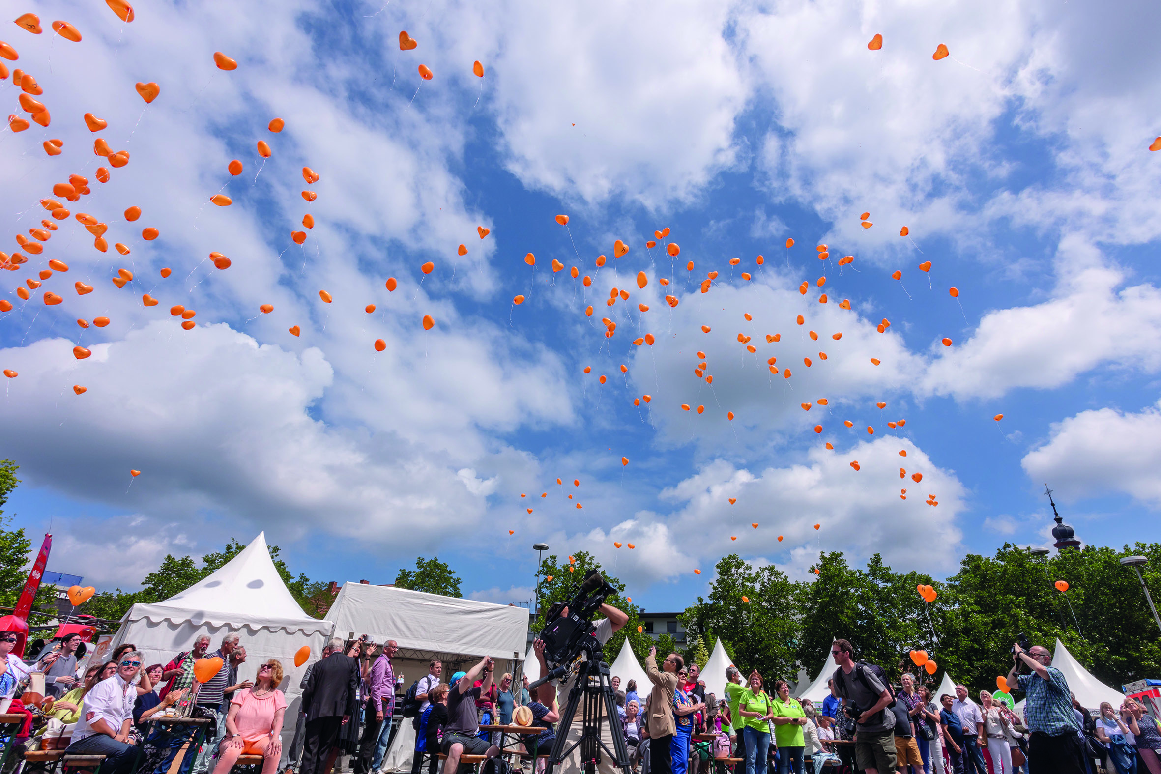 Organspende JA oder NEIN?