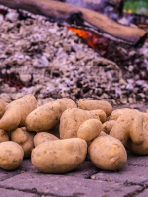 Kartoffelfeuer für Familien