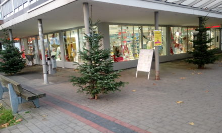 Einkaufszentren werden mit Weihnachtsbäumen geschmückt