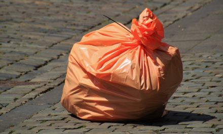 Recycling- und Wertstoffhöfe in Mainz sind geschlossen