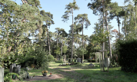 Führung: Facetten der Friedhofskultur auf dem Rüsselsheimer Waldfriedhof