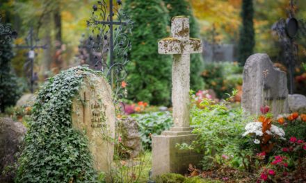 Interkommunale Friedhofsverwaltung auch 2020 auf Erfolgskurs