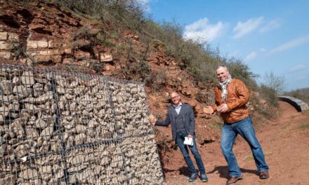 Steinschlagsicherung im Naturschutzgebiet Rothenberg erfolgreich abgeschlossen