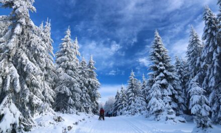 Wintersportwoche der Wanderabteilug der SKG Bauschheim