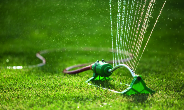 Allgemein | Journal Lokal