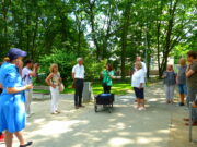 Krähen werden mehr und mehr zum Problem