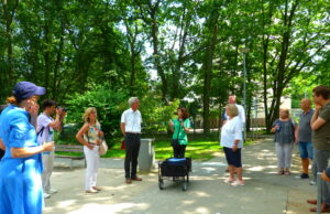 Krähen werden mehr und mehr zum Problem