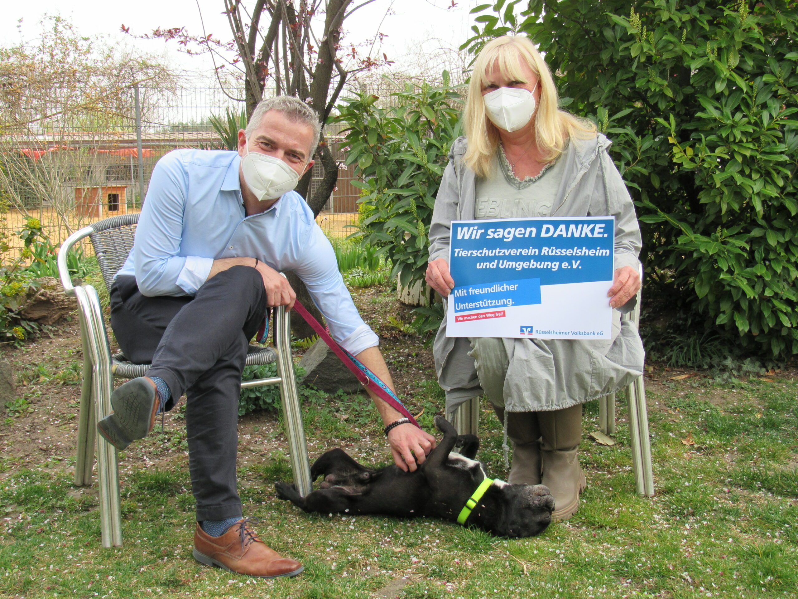 R sselsheimer Volksbank EG 1 500 Euro F r Tierschutzverein Journal Lokal