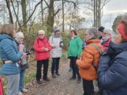 Bericht Freizeitwanderung vom 27.11.2022 Bauschheimer Rundweg mit Besuch des Weihnachtsmarktes