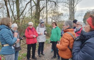 Bericht Freizeitwanderung vom 27.11.2022 Bauschheimer Rundweg mit Besuch des Weihnachtsmarktes