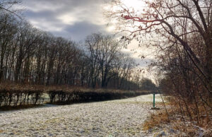 Winterwanderung mit Wilma zum Schaeppersee auf main-ruesselsheim.de