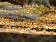 Straßenbild in der Vorweihnachtszeit