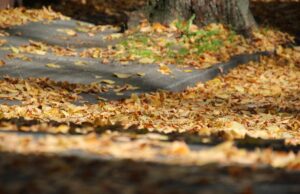 Straßenbild in der Vorweihnachtszeit