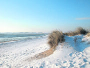 Reif für die Insel?