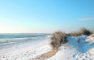 Reif für die Insel?