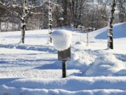 Was man tun kann, wenn man im Winter nicht aus dem Haus will