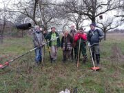 BUND Flörsheim: Erster Arbeitseinsatz im neuen Jahr