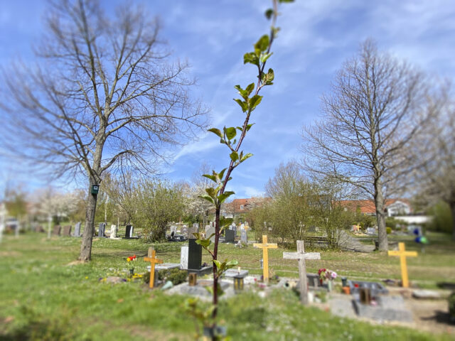 Ebersheim-Friedhof_Gregor Starosczyk-Gerlach