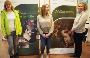 Nager mit Zorro-Maske