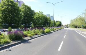 Einfahrtstor in die Innenstadt erhält neues insektenfreundliches Blütenmeer