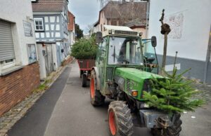 Jugendfeuerwehren sammeln Weihnachtsbäume