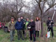 BUND Flörsheim pflegt Streuobstwiese im Wickerbachtal Brut- und Setzzeit beginnt demnächst
