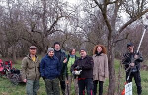 BUND Flörsheim pflegt Streuobstwiese im Wickerbachtal Brut- und Setzzeit beginnt demnächst