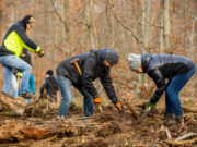 Einsatz für den Mischwald von morgen 2500 Bäumchen sind bei einer Mitmachaktion der Stadtwerke im Rüsselsheimer Wald gepflanzt worden