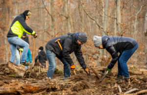 Einsatz für den Mischwald von morgen 2500 Bäumchen sind bei einer Mitmachaktion der Stadtwerke im Rüsselsheimer Wald gepflanzt worden
