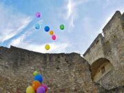 Ein Jahr in die Forschungsstelle Kaiserpfalz hereinschnuppern Der Bewerbungszeitraum für das FSJ Kultur ist gestartet