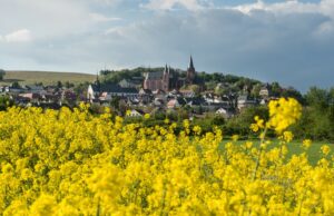 Oppenheimer Frühling 2023 VORSCHAU Eventmeile vom Marktplatz bis zur Weinbaudomäne