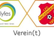 Mit vereinten Kräften! SPENDENAUFRUF Erweiterung der Skateanlage auf Lakis Freizeitanlage