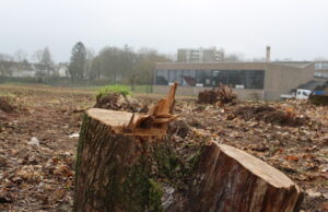 Baustart auf Schulgelände