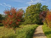 Arbeiten an Spazierwegen