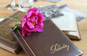 Bücherei feiert Welttag der Poesie mit „Gedichte to go“