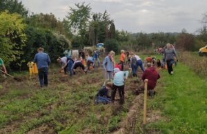 Solidarische Landwirtschaft Grüne Bohne möchte wachsen Infoveranstaltung am 29.4. in Nierstein