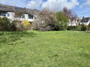 Sonnenschein zum Glücklichsein