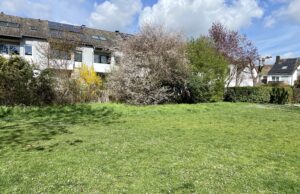 Sonnenschein zum Glücklichsein