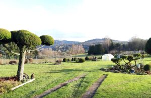 Freizeitwanderung „Oberjosbach Dattenbachtal“ am 07. Mai 2023