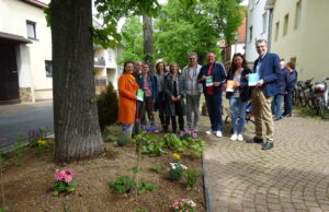 Am umgestalteten Gänsmarkt grünt und blüht es