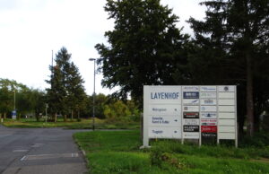 Gefällte Bäume sollen ersetzt werden Finther Ortsbeirat beschäftigte sich mit dem Layenhof