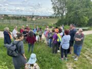 Informative Wildkräuterwanderung Führung durch die Siefersheimer Kräuterhexen Karin Klemmer und Martina Schott