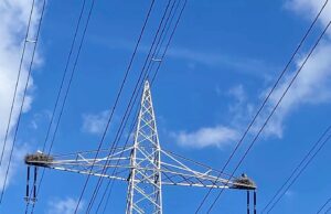 Mit Ausblick auf die Störche Ein Rundgang durch das blühende Ried mit Ortsvorsteher Gerhard Strotkötter