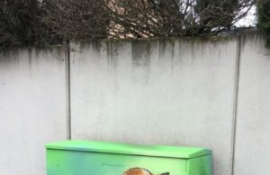 Verschönerung der Stromkästen in Nierstein und Schwabsburg Aus grauen und tristen Stromkästen werden bunte und schöne Hingucker