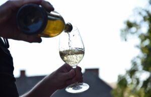 Die Stadtwerke schenken ein: ein Abend bei Wein am Main