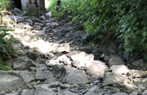 BUND ist sehr besorgt: Der Weilbach fällt schon wieder trocken!
