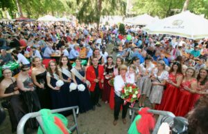 Musik, Tanz, Genuss und Gonsenheimer Lebensfreude 17. Erdbeerfest lockt von 16. bis 18. Juni nach Gonsenheim