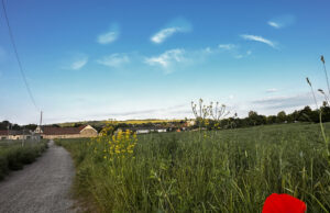 Stadtentwicklung im Blick Ingelheim strickt am Wohnkonzept für 2040