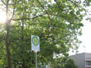 Pausenhalt am Waldfriedhof?